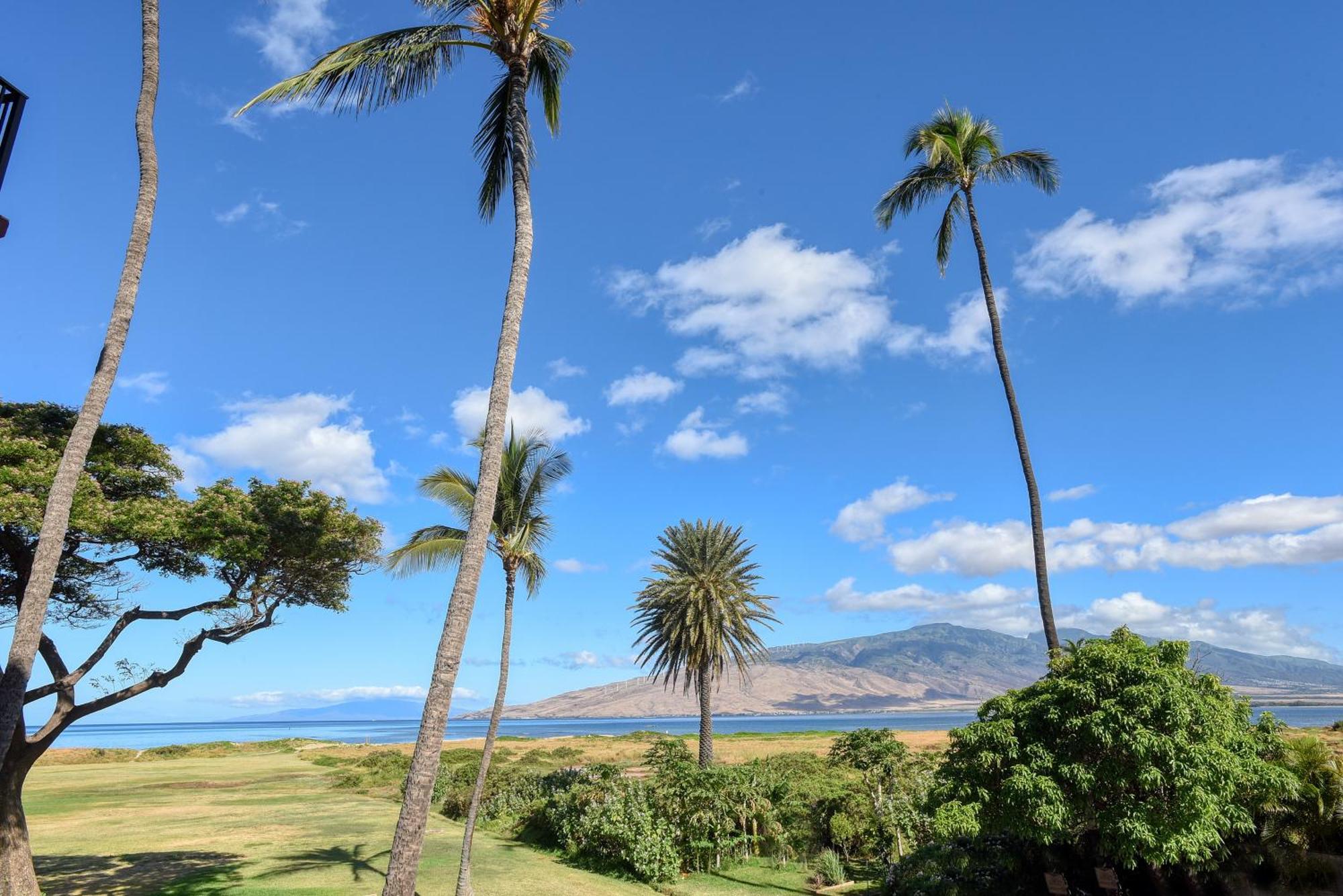 Kauhale Makai *